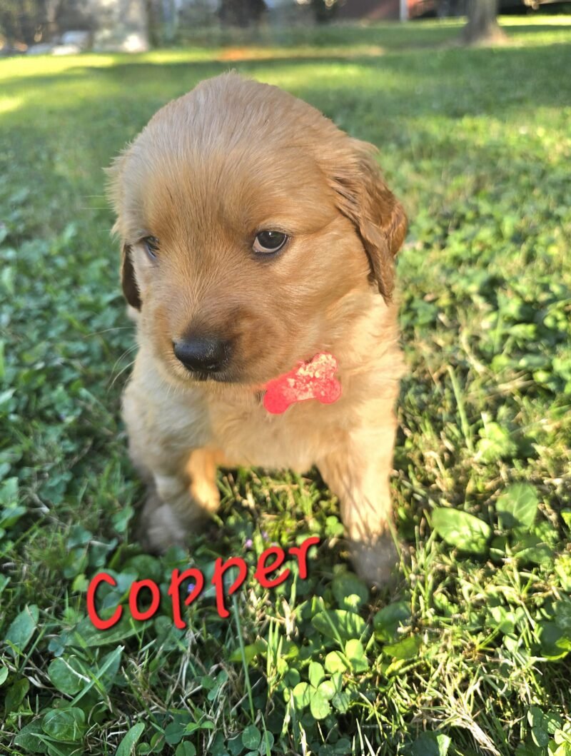 Copper