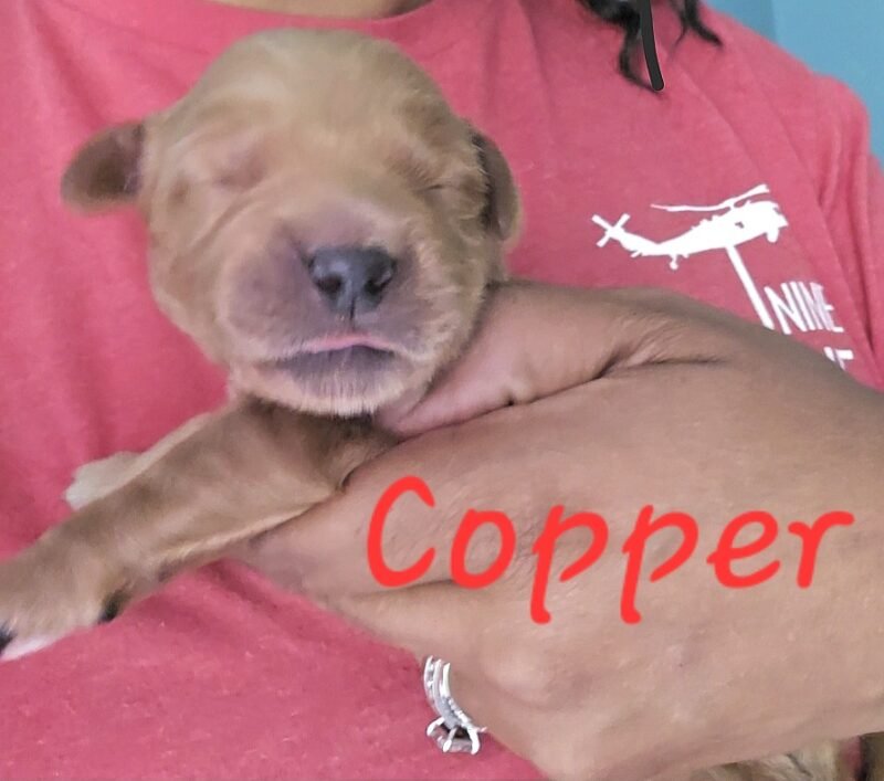 Copper