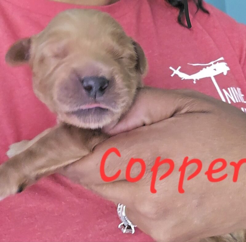Copper