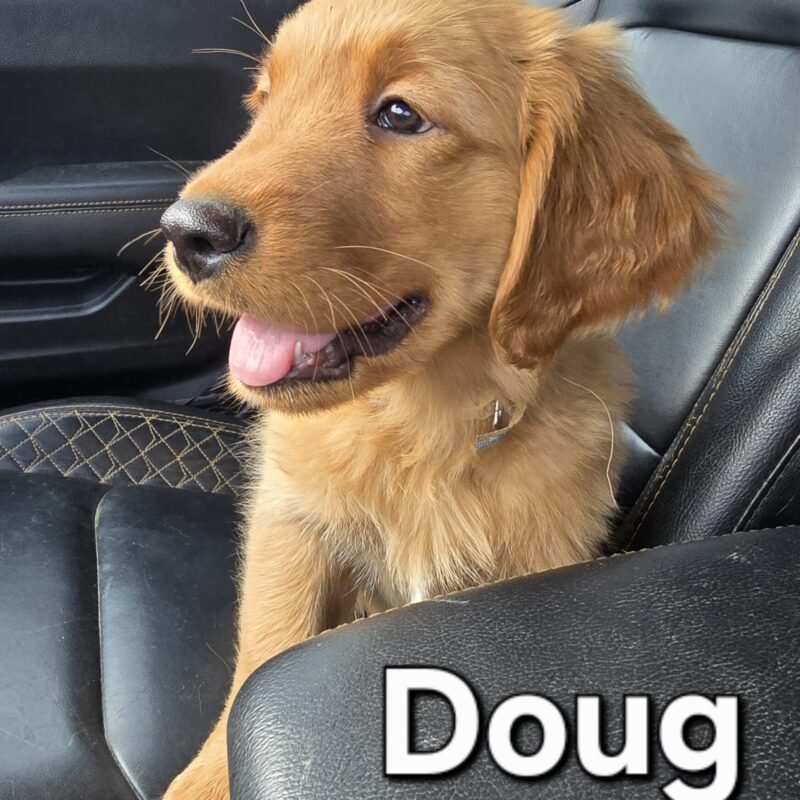 Doug
