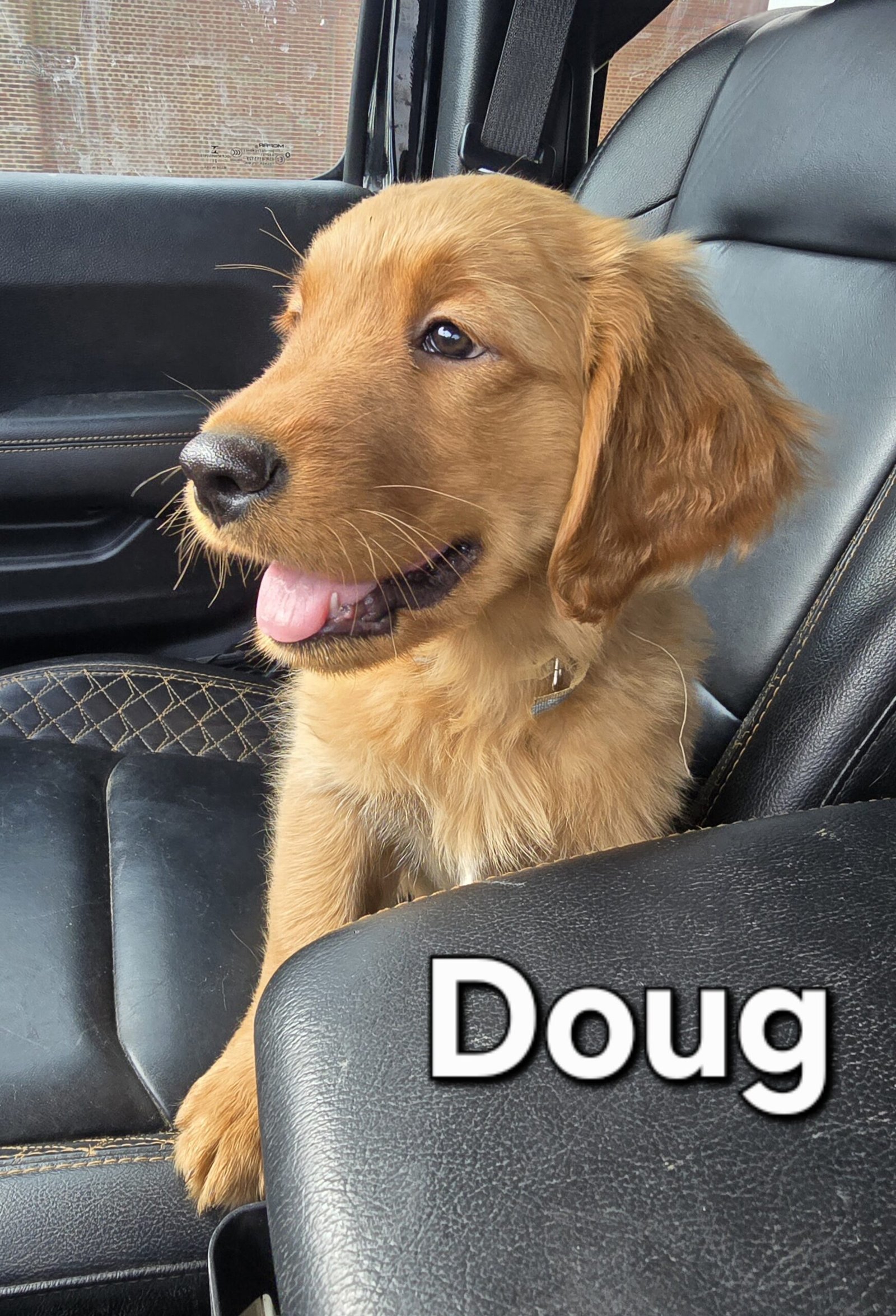 Doug