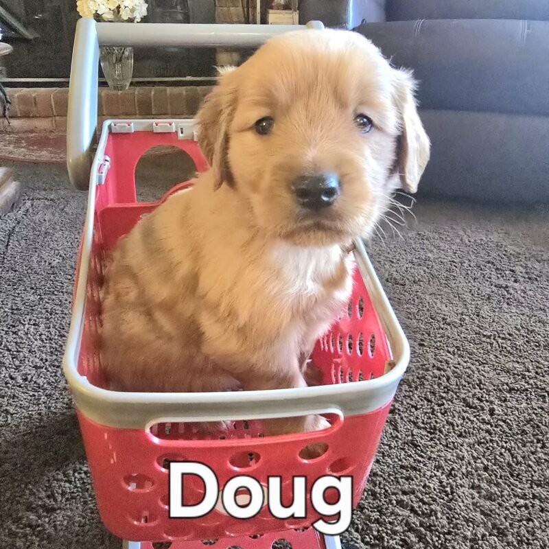 Doug