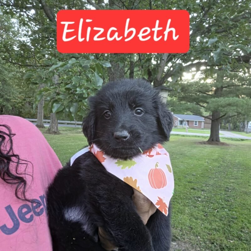 Elizabeth