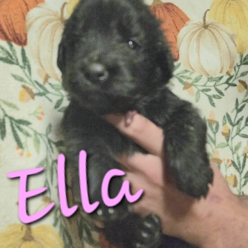 Ella