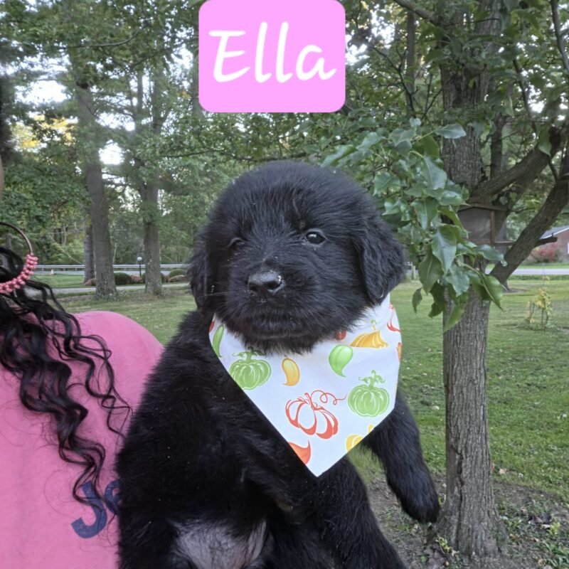 Ella