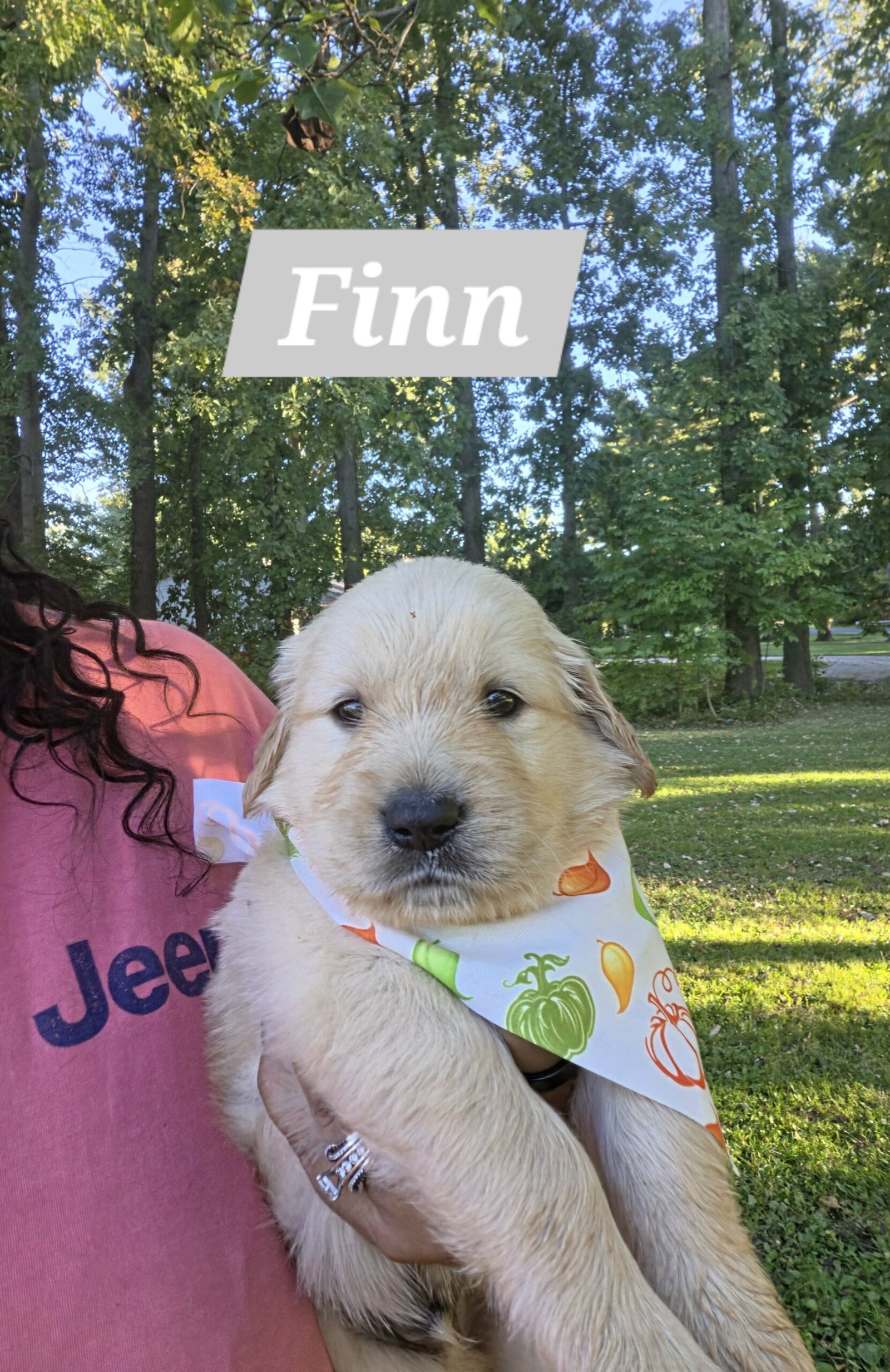 Finn