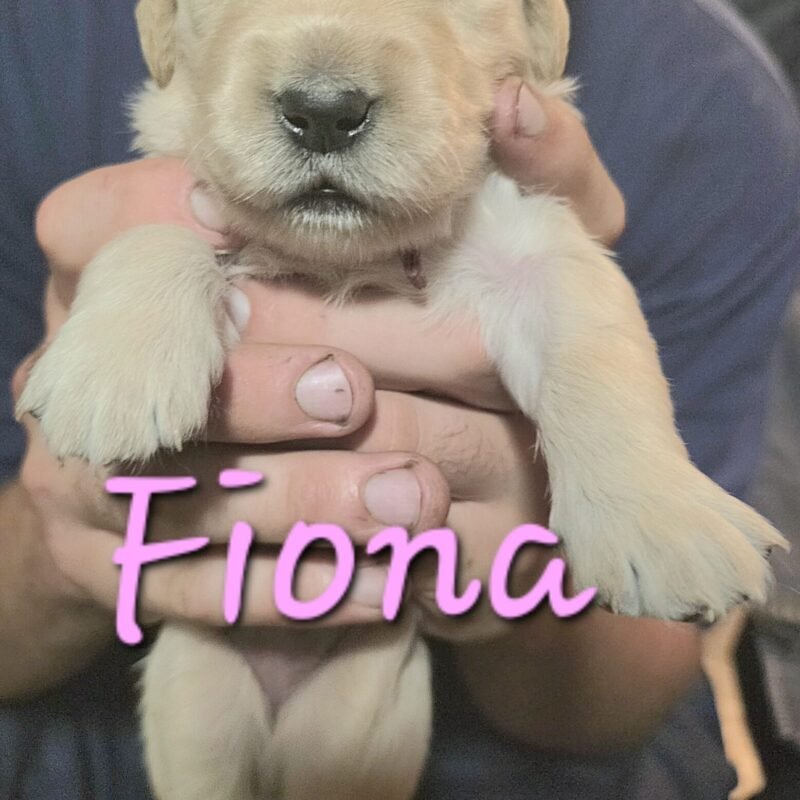 Fiona