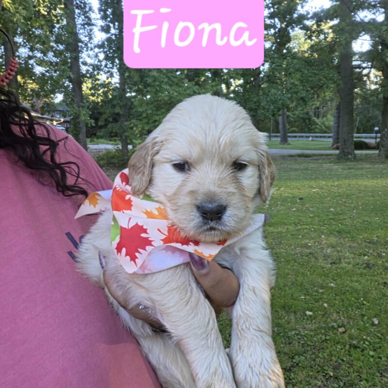 Fiona