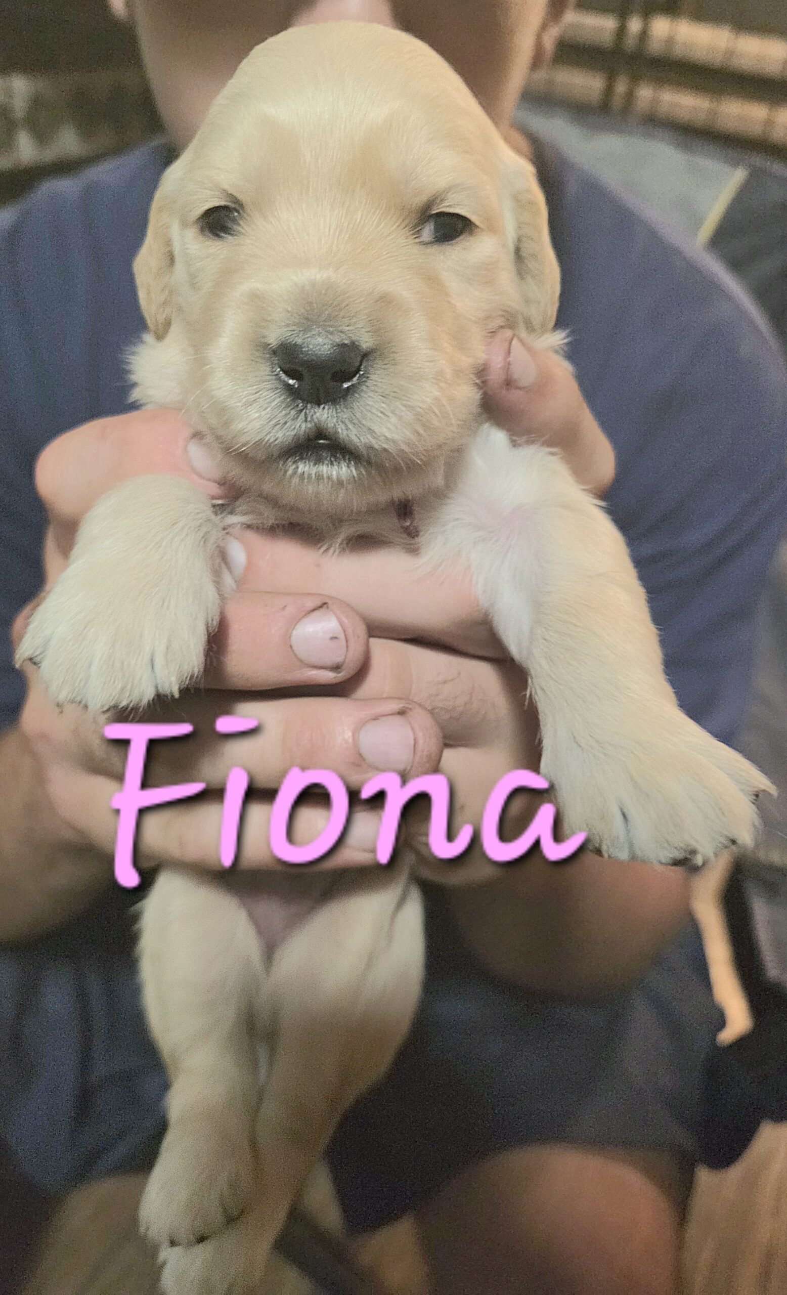 Fiona