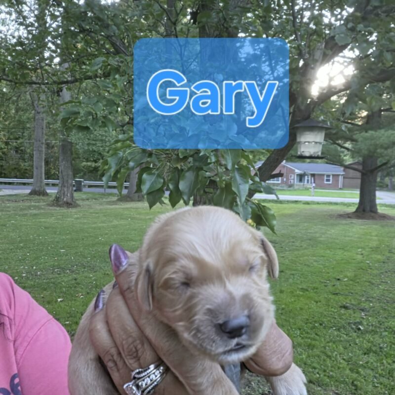 Gary