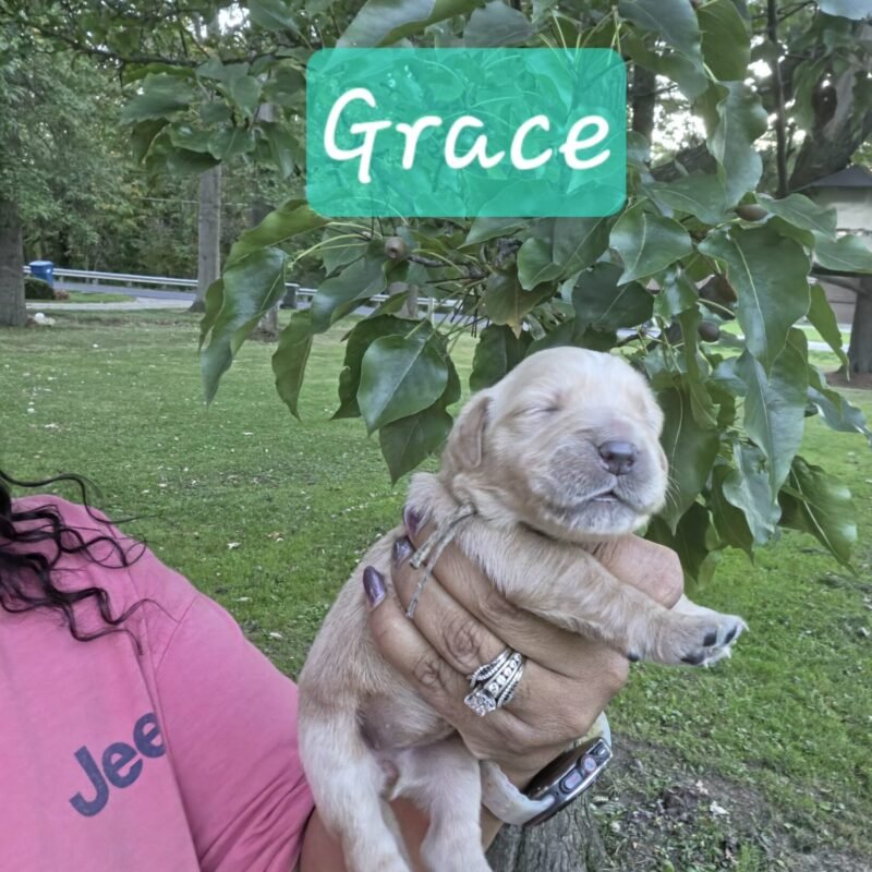 Grace