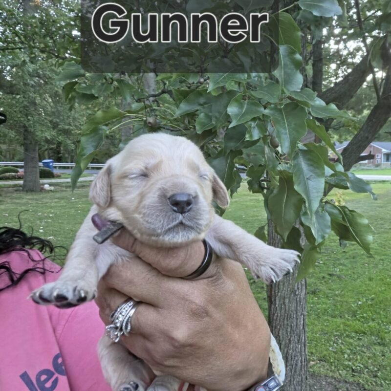 Gunner