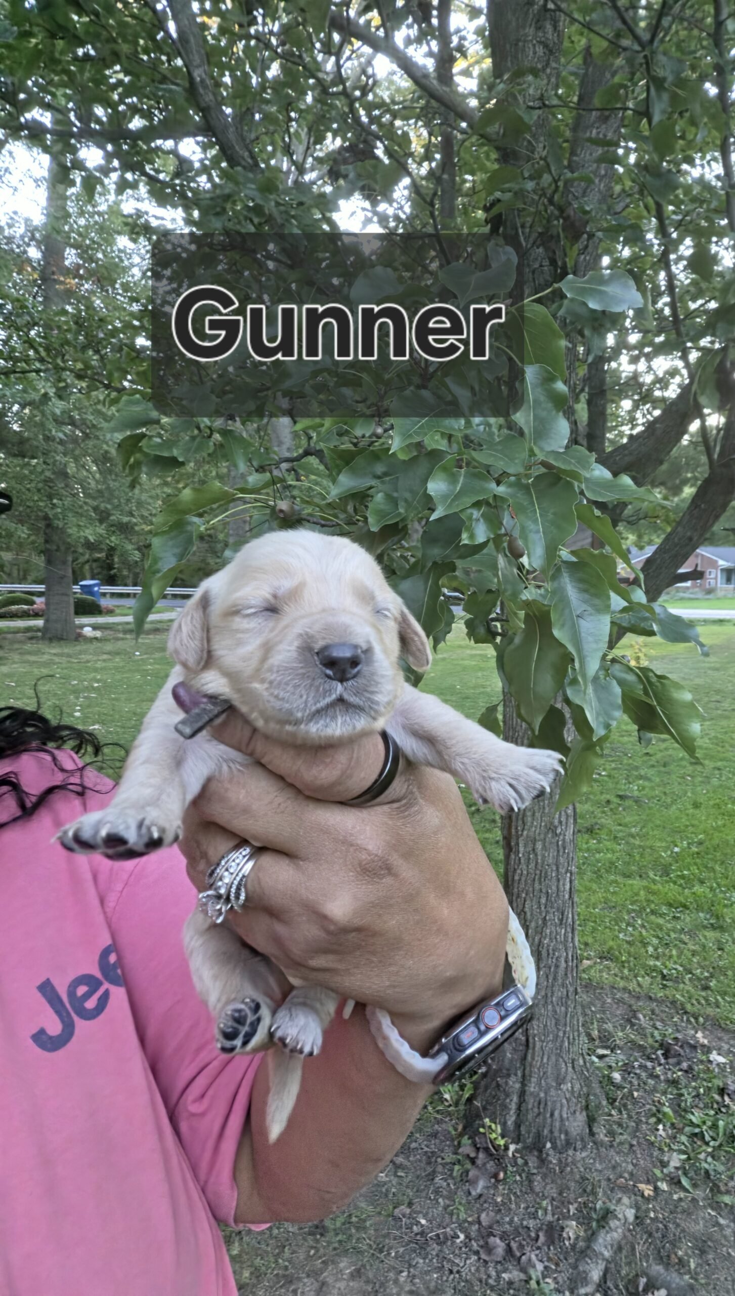 Gunner
